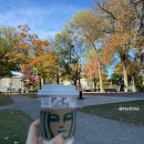 (주)사우전드아일랜드게임즈 | 캐나다 단풍여행 시기 절정 밴쿠버 토론토 몬트리올 오타와 퀘백 단풍 현재 10월 현황