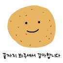 해이랑마파람 이미지