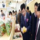 수원-1971 이미지