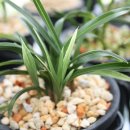 신아식당 이미지