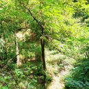 서석농협주유소 이미지