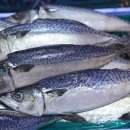 한일마트 이미지