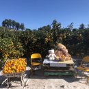 제주하늘키즈펜션 이미지