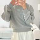 박스소프트(PARK'S SOFT) | FYEO - Park Soft Sweatshirts (melage gray)포유온 파크 소프트 스웻셔츠, 도매택 forest포레스트...