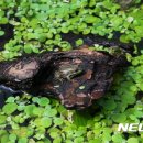 도심공원 이미지