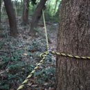 유한회사 오름 이미지