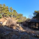 관악 민주주의 길(서울대 중심 코스) 이미지