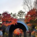 다온황토방 | [제천 포레스트 리솜] S25 빌라동 숙박 후기｜객실 배정·주차 꿀팁