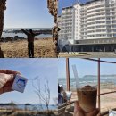 원풍편의점 | 태안 1박 2일 가족여행, 아일랜드 리솜 카페인터뷰 파도리 (NOL&블루리본따라)