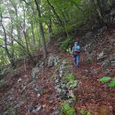 정자마을태양광발전소 이미지