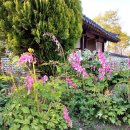 선학농장 이미지