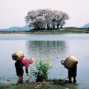 남해풍경 이미지