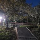 돌마교 아래 이미지