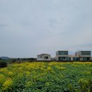 제이라움 이미지