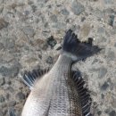 대림민박 이미지