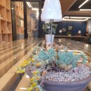 카페담다(cafe Damda) 이미지