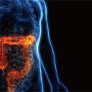 건강식품연구원 이미지