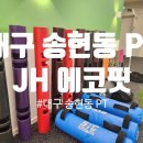 에코피티 이미지
