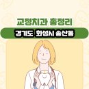 미림치과의원 | 경기도 화성시 송산동 교정치과 총정리