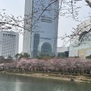 밉 | 잠실 브런치 맛집 밉 방문 후기 | 감성 분위기 + 데이트 추천 브런치 카페