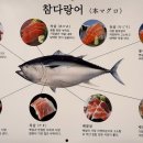 참치한판 이미지