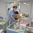 문화동물병원 이미지