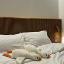 11500-5-28-102 | [화천 시내 숙소] 휴스테이 : 디럭스(102) 내돈내산 후기, 7사단 화천 터미널 근처 모텔 쾌적한 1...