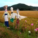 노을들녘 이미지