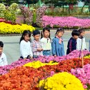 국화어린이공원 이미지