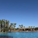 비치호텔 | 이집트 신혼여행 후루가다 슈타이겐베르거 알다우 비치 호텔 후기 올인클루시브 리조트 호캉스