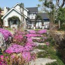 브로칸트 하우스 이미지