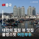 멍스팟 | 대련어인부두 물멍 해파리멍 명소 대련바다뷰 스팟 대련자유여행 코스 추천