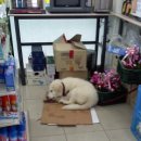 윤식농장 이미지