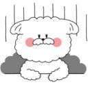 데일리 그루밍 이미지