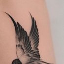 자유-희망 이미지