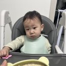 서창동물약국 | [25.03.17-04.06] 일상기록