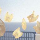 베이지 꽃 이미지