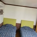 숲과개울펜션야영장 | 찐친이랑 힐링 여행! 평창 숲과개울 펜션에서 제대로 쉬다 왔어요