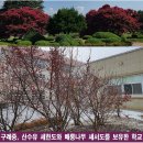 구례중학교 이미지