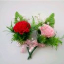 포낙보청기강서센터 이미지