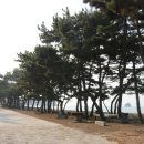 우리네펜션 민박 이미지