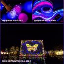 별빛정원 이미지