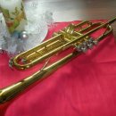 골드피스톤 이미지