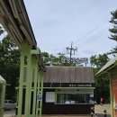 슬기목장 | [강원도 평창 여행] 대관령 삼양 라운드힐, 양떼목장 | 유모차, 셔틀버스, 양몰이 공연