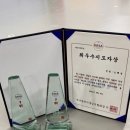 용인대 한국 태권도장 이미지