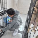 광주광역시 동물보호센터 | 광주동물보호소