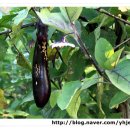 성진민박 이미지