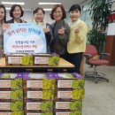 정자2동 행정복지센터 이미지