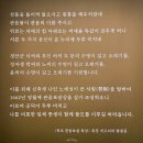 용인 호암미술관 전시 《진흙에 물들지 않는 연꽃처럼》 관람 후기2