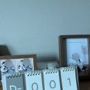 강이동물병원 | 일산차병원 제왕절개 5박 6일 입원, 1인실 A 타입 후기